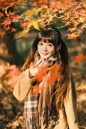 电影《丹麦空姐》